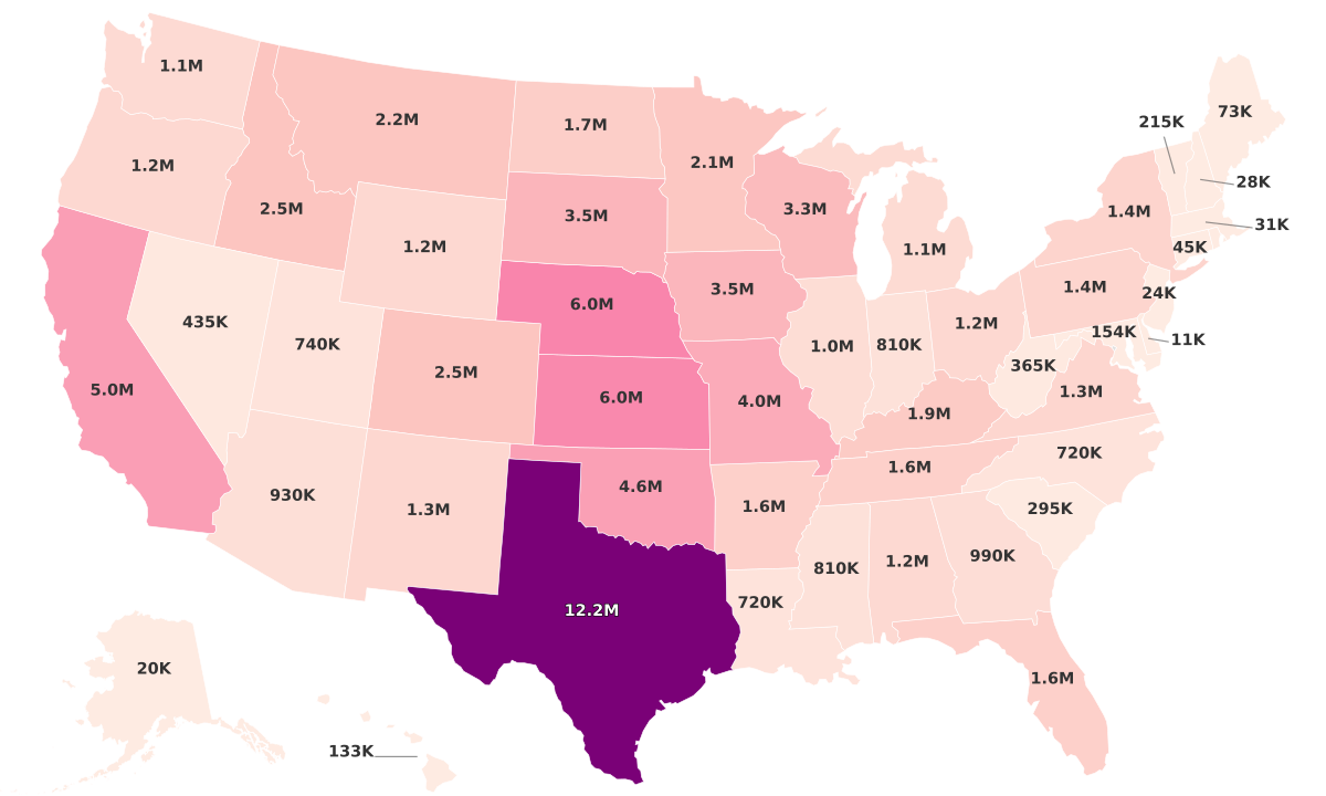 Beef Production By State