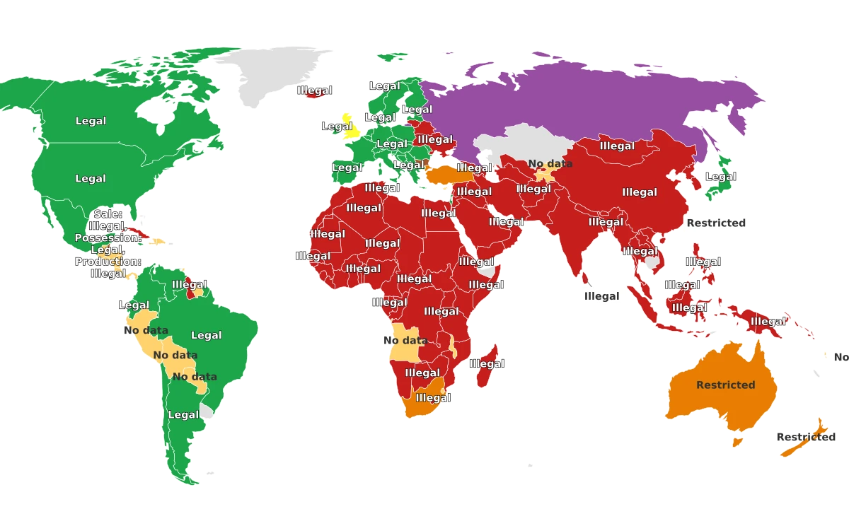 Countries Where Porn Is Illegal